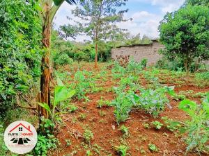 Residential Land For Sale Thogoto Teachers College Area Thogoto Kikuyu Kiambu