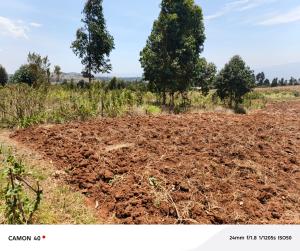 Land For Sale Ndeiya Road Ndeiya Kiambu