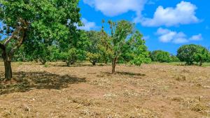 Land For Sale Malindi Airport Area Malindi Town Kilifi
