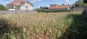 Land For Sale Githurai Nairobi