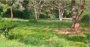 Land For Sale Karen Nairobi