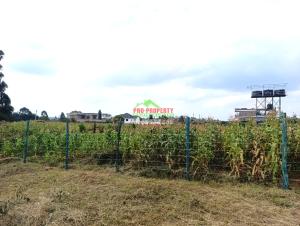 Residential Land For Sale Lusigetti Lussigetti Kikuyu Kiambu
