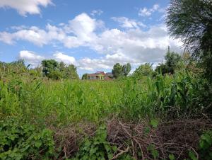 Land For Sale Kajiado1 Kitengela 