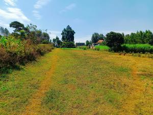 Residential Land For Sale Damacrest School Area Thogoto Kikuyu Kiambu
