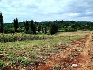 Commercial Land For Sale Makuyu Muranga