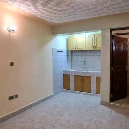 1 bedroom Apartment For Rent Thika Road Ku University Near Ku Ruiru Campus Kiambu