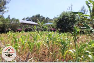Residential Land For Sale Kamuita Area Karai Kikuyu Kiambu