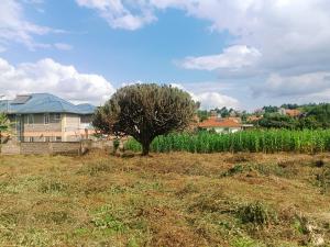 Residential Land For Sale Rio Court Estate Gikambura Kikuyu Kiambu
