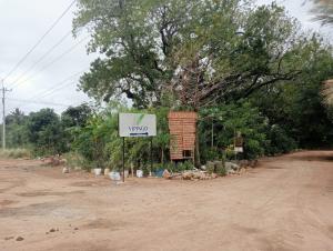 Land For Sale Vipingo Prime Land – Kuruwitu Ocean Front Watamu Kilifi