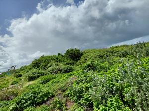 Land For Sale Watamu Ocean Front Ocean Front Watamu Kilifi