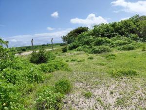 Land For Sale Watamu Kilifi
