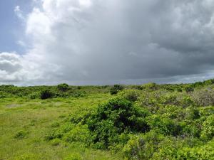 Land For Sale Watamu Ocean Front Kilifi Jacaranda Beach. Watamu Kilifi